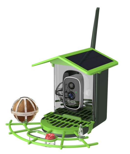 Woomo Smart Bird Feeder with Camera – 2K Live View, AI Bird Recognition, Squirrel-Proof, Dual Solar Roof, 5dB Antenna, Instant Alerts for Nature & Wildlife Lovers, Green